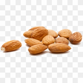 Almond - Almonds Benefits For Bodybuilding, HD Png Download