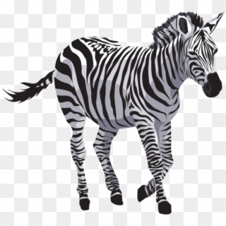 Zebra Png Image Free Download - Zebra Png, Transparent Png