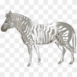 Medium Image - White Zebra Png, Transparent Png