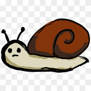 Snail Eating Algae, HD Png Download