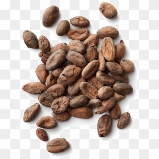 Cocoa Beans Png - Cacao Png, Transparent Png