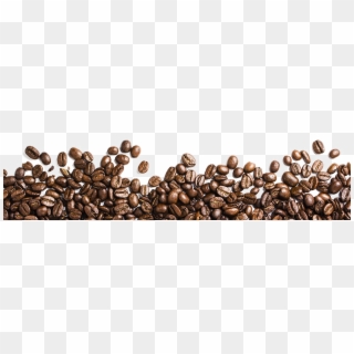 Coffee Beans Png Free Download - Coffee Bean Png Transparent, Png Download