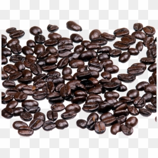 Coffee Beans Png Transparent Images - Coffee Arabica Png, Png Download