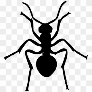 Ants Clipart Gambar - Ant Silhouette Png, Transparent Png