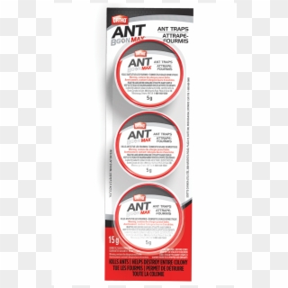 Ant Trap 3 Pack Image - Ortho Ant B Gon Max, HD Png Download