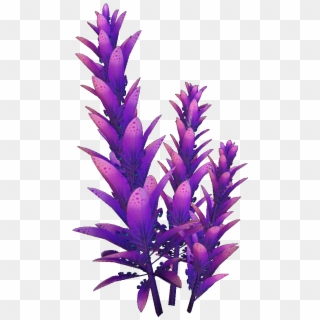 Wiki Fandom Powered By Wikia Violet Beau - Subnautica Plants, HD Png Download