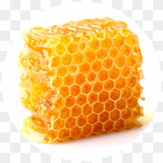 Honeycomb - Honeycomb In Dubai, HD Png Download
