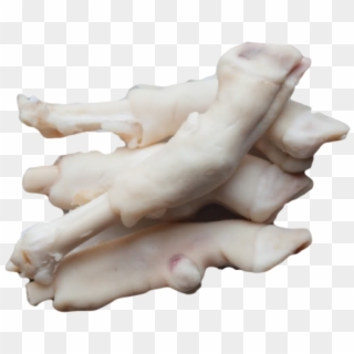 Buy Paya Sheep Trotters Online From Hds - Mutton Paya Raw, HD Png Download