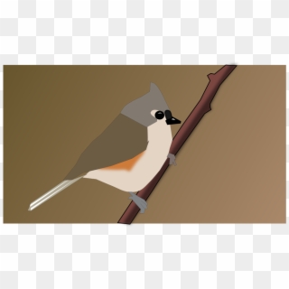 This Free Icons Png Design Of Turfted Titmouse, Transparent Png