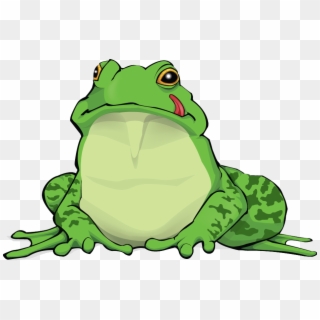 Amphibian Png Free Download - Bullfrog, Transparent Png