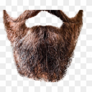 Beard For Photo Editing, HD Png Download