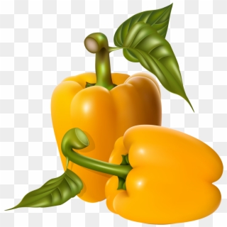 Peppers - Bell Pepper, HD Png Download