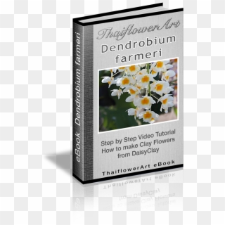 Cover Ebook Dendrobium Farmeri - Camomile, HD Png Download