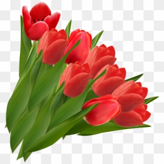 Tulip Clipart Icon - Tulips Png, Transparent Png