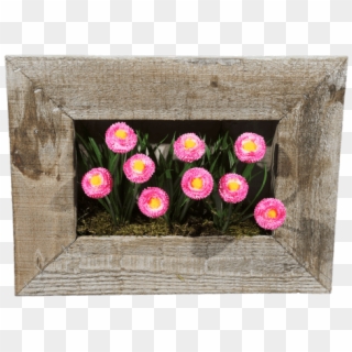 Silk English Daisy Frame • $24 - Common Peony, HD Png Download