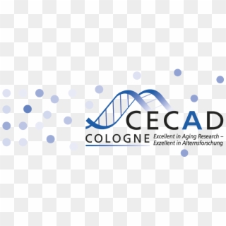 Cecad Cologne, HD Png Download