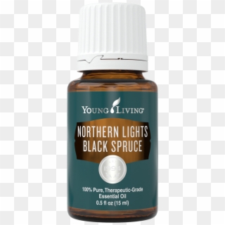 Northern Lights Black Spruce Essential Oil - Peppermint Essential Oil Young Living, HD Png Download