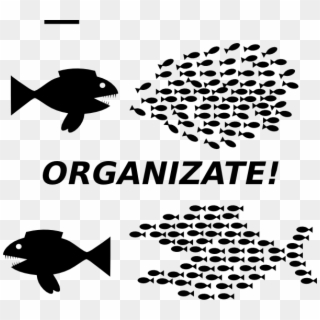 Organize Fish Picture Clip Art - Labor Union Slogans, HD Png Download