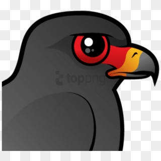 Free Png About The Snail Kite - Snail Kite Cartoon, Transparent Png