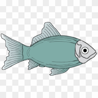 Free Stock Photos - Fish Clipart, HD Png Download