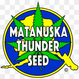 Matanuska Thunder Seed Logo - Emblem, HD Png Download