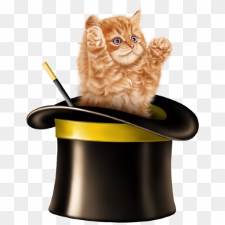 Kitten Cartoon, Kitten Images, Cats And Kittens, Tube, - Cat In Magic Hat, HD Png Download