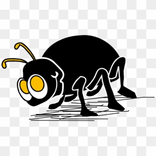 Carpet Beetles - Cartoon Bugs, HD Png Download