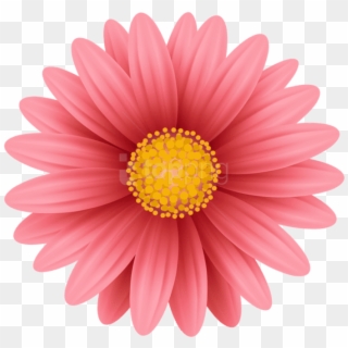 Free Png Download Red Flower Png Png Images Background - Flower Blooming Transparent Gif, Png Download