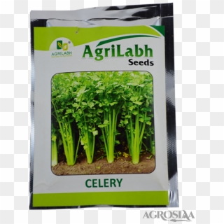 Agrilabh Celery - 10gm - Celery Leaves In Malayalam, HD Png Download