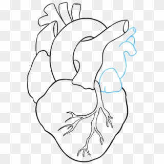 Human Heart To Draw, HD Png Download