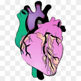 Heart Sticker - Gerçek Kalp Nasıl Çizilir, HD Png Download
