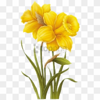 Free Png Yellow Flower Drawing Png Image With Transparent - Yellow Flower Drawing Png, Png Download