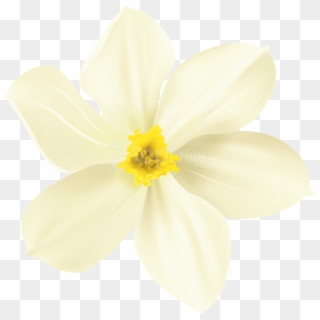 Free Png Spring Flower Decorative Transparent Png Images - Rain Lily, Png Download