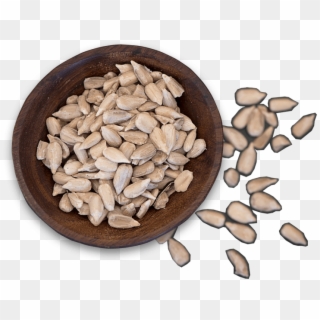 Seeds - Sunflower Seed, HD Png Download