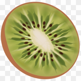 Kiwi, Fruit, Fresh, Green, Tasty, Food, Dessert, Diet - Kiwi Png, Transparent Png