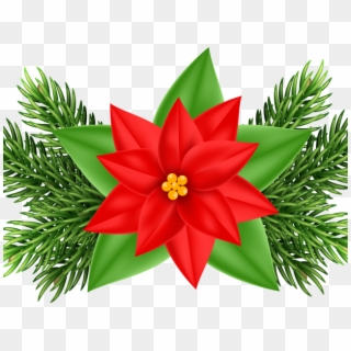 Christmas Ornaments Clipart Poinsettia - Poinsettia Clip Art Jpg, HD Png Download