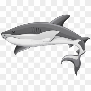 Free Png Grey Shark Png Images Transparent - Shark Clipart Png, Png Download