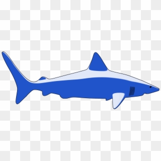 Requiem Sharks Great White Shark Fish Animal - สัตว์ ทะเล Png, Transparent Png