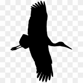 Goose Cygnini Water Bird Eagle Duck - Png Stork Silhouette, Transparent Png