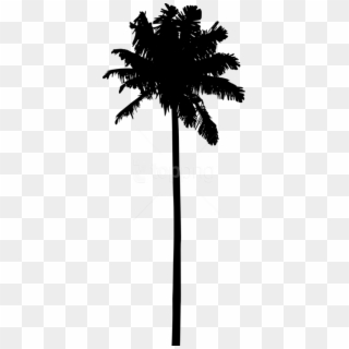 Free Png Palm Tree Silhouette Png - Transparent Palm Tree Silhouettes, Png Download