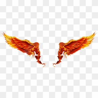 Wings Png Transparent For Free Download Pngfind - download misfortune s guardian s wings roblox all wings png image with no background pngkey com