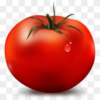 Tomato Vector Ubisafe Regarding Tomato Clipart - Red Tomato Png, Transparent Png
