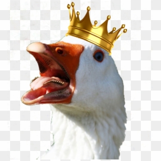 Goose Transparent Head - Daddy Of The Birthday Princess, HD Png Download
