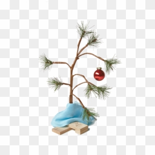 Charlie Brown Liked This Tree Before It Was Cool - Transparent Charlie Brown Christmas Tree Png, Png Download