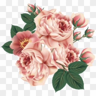 Centifolia Roses Flower Floral Design Garden Elements - Overlay Stickers Png, Transparent Png