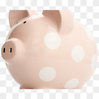 Piggy Bank Png Transparent Image - Domestic Pig, Png Download