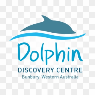 Dolphins, Pixels Resolution - Dolphin Discovery Centre Bunbury, HD Png Download