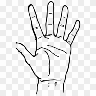 Fingers Clipart Hand Symbol - Hand Clip Art, HD Png Download