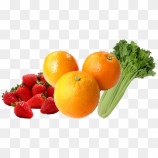 Ontario Student Nutrition Services - Fruits And Vegetables Png Icon, Transparent Png