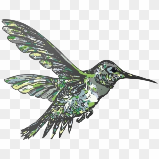 Png Royalty Free Download Flying Vector Rooweb Flyinh - Ruby-throated Hummingbird, Transparent Png